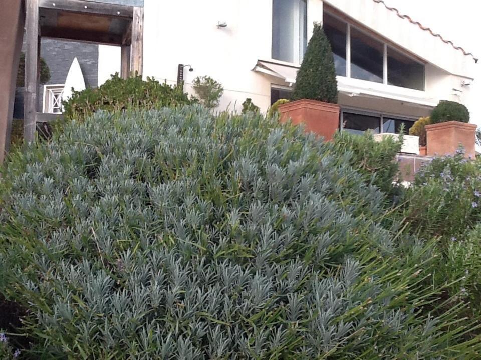 مارسيليا La Villa Blanche الغرفة الصورة